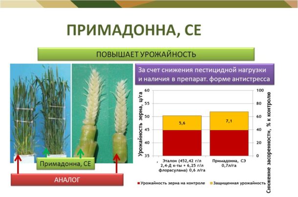 Сравнительные характеристики урожайности при применении гербицида Примадонна
